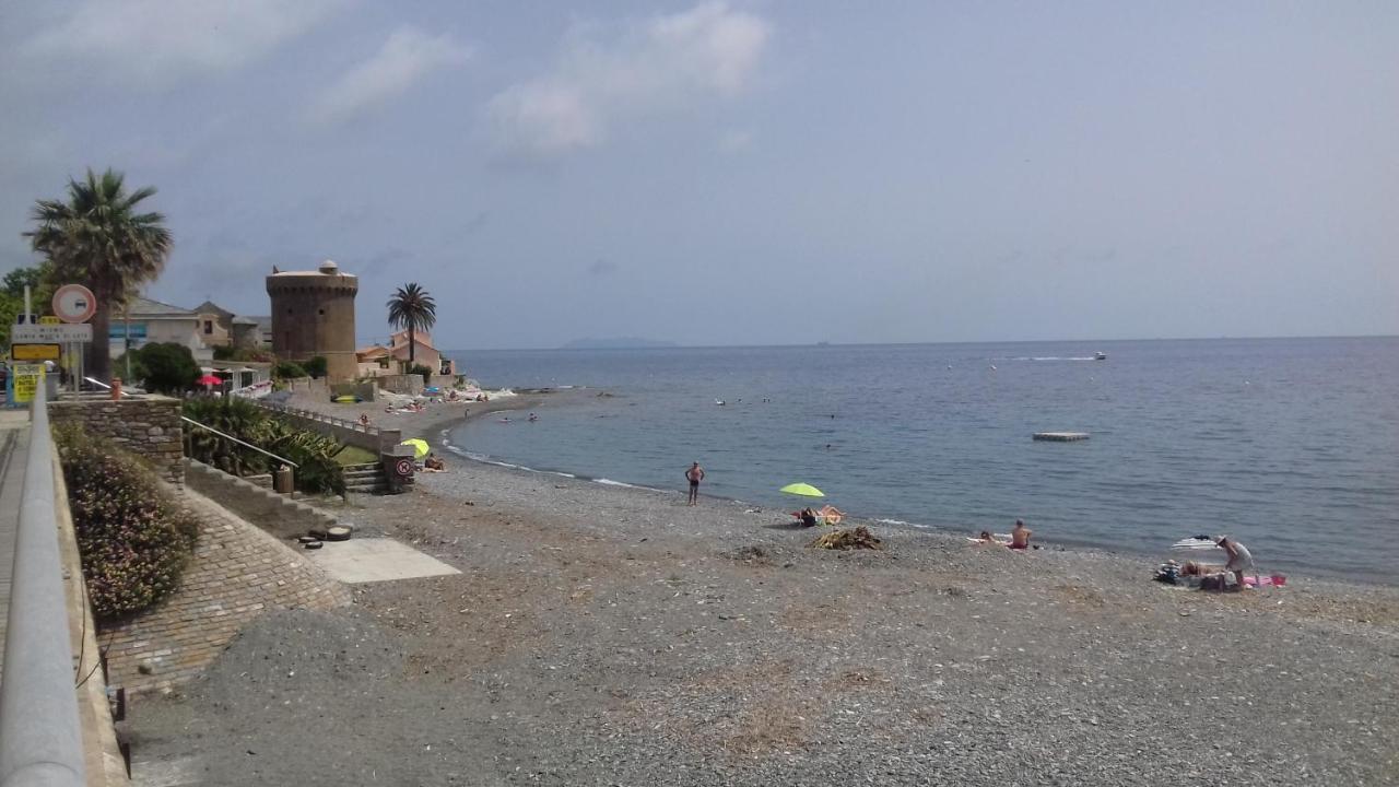Agreable Studio Debut Cap Corse Proche Bastia San-Martino-di-Lota Bagian luar foto